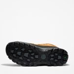 573AFDB8-9D0D-E420-C192-705875D6F662