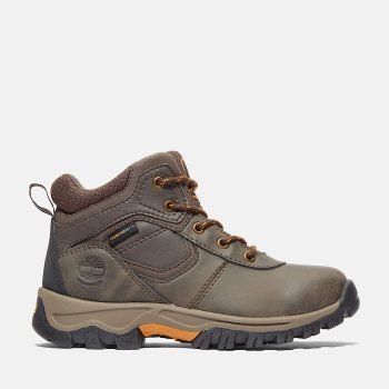 Junior Mt. Maddsen Mid Waterproof Hiking Boot