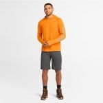 0875B3CB-8B74-8E9B-8CFB-0B6119728DDA