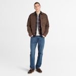 3BBBEF89-0084-E95F-3D88-CEF9E4B88B21_547f2788-185c-4f73-b6d4-951e1877353b