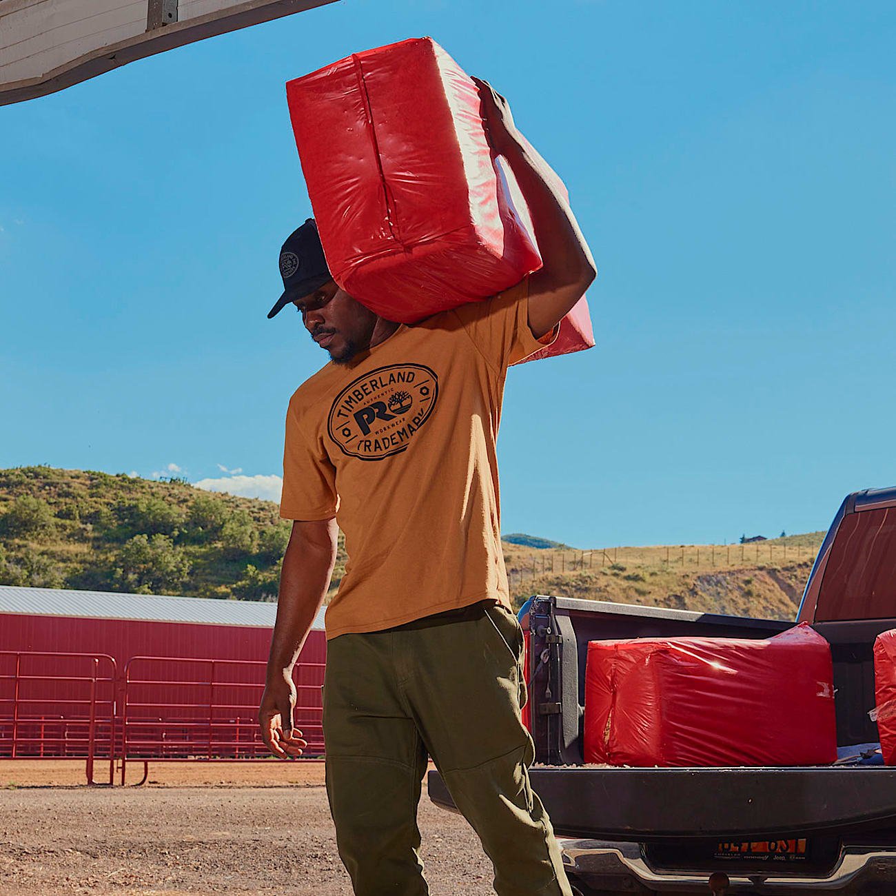 10CF8403-3D72-AF29-20E9-2FF9B7983332_ed50df52-95cf-4e83-87fc-f906436003a0