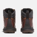 57F3F616-E409-B03B-20F0-FA88BC87394F_a2b1923e-5278-4133-bfe1-9ec28d5709a2