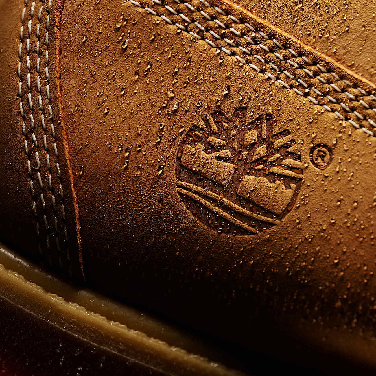 1427740E-6ACA-5C3B-FCE4-CF995AAB15F5