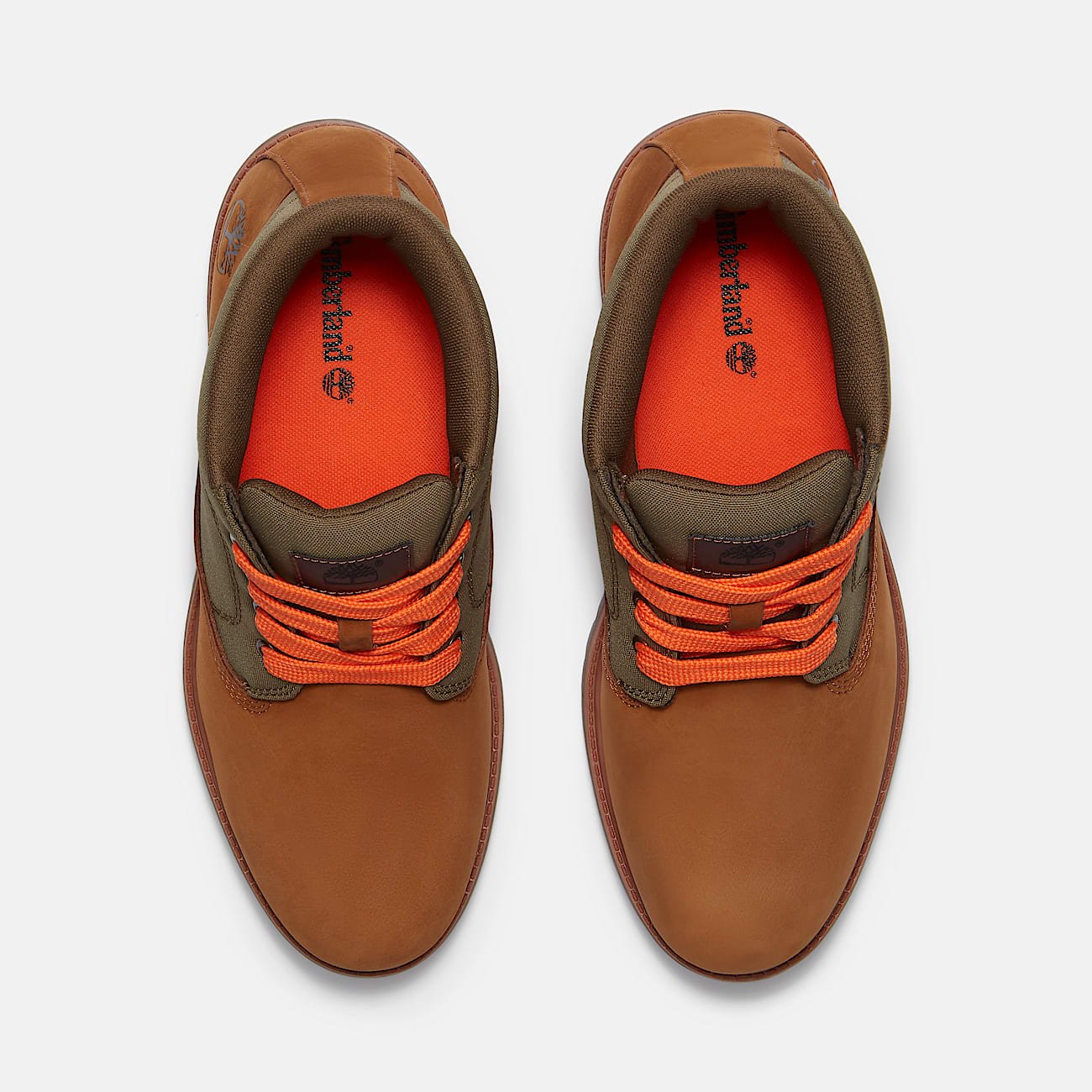 19F44A10-B1E4-15C8-1B2E-DC76C9103C27