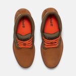 707D7FB8-8DAB-A4FF-90A9-103DED5FFEB5_324b684b-2516-4680-b74e-d717c7e33786