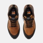 5D5F433B-5853-1B1F-D610-113685CD2C82_3be55f8d-275e-43f1-9d2d-abda81bdff73