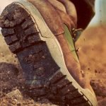 68557332-2F3D-47B9-F888-6765B18F261F_c984bf12-1288-489f-a88b-6984fdcd53b9