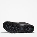 02C5D98A-3AB0-5E86-E3B0-F34408FD6CCE