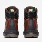 655EAFDD-A895-7377-B7A3-71DE4ED69F86