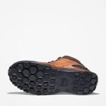 5D5F433B-5853-1B1F-D610-113685CD2C82_3be55f8d-275e-43f1-9d2d-abda81bdff73