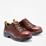 2910086C-DDB6-9E5A-1C82-5C5EF0B71508