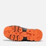 CD52A984-4AD2-9302-0009-78C9C9F371A4_1db2f371-f3d2-48f8-828f-0261608762dd