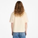 44DDD3D2-796B-2D31-200E-CFB098F729B9