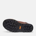 C72E89E2-126D-9086-7538-7A077C9E15EF_d58216b3-b741-40ea-a750-6899183ec59c