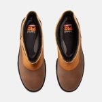 87698A42-D673-1B45-985F-EED7EC0E5088