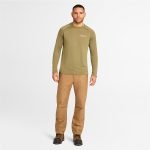 CFE7211C-1C27-61E3-0BCB-0B5D7164D235