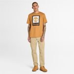 8DD43E81-21BA-8C3A-6B8D-88890135147D_f726a124-ec66-492c-bb0a-202fdcd23b43