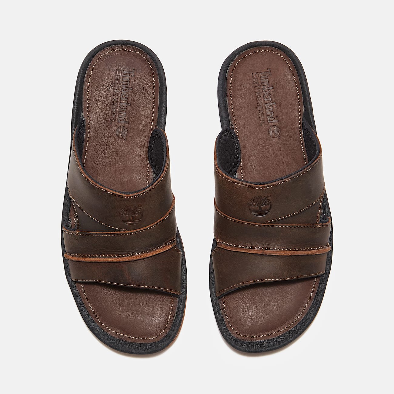 3FF7CFFB-F518-A9DB-550A-1D346FA5EC4A