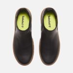 B8E8AB64-691F-22A7-E665-E3B59027D2D7