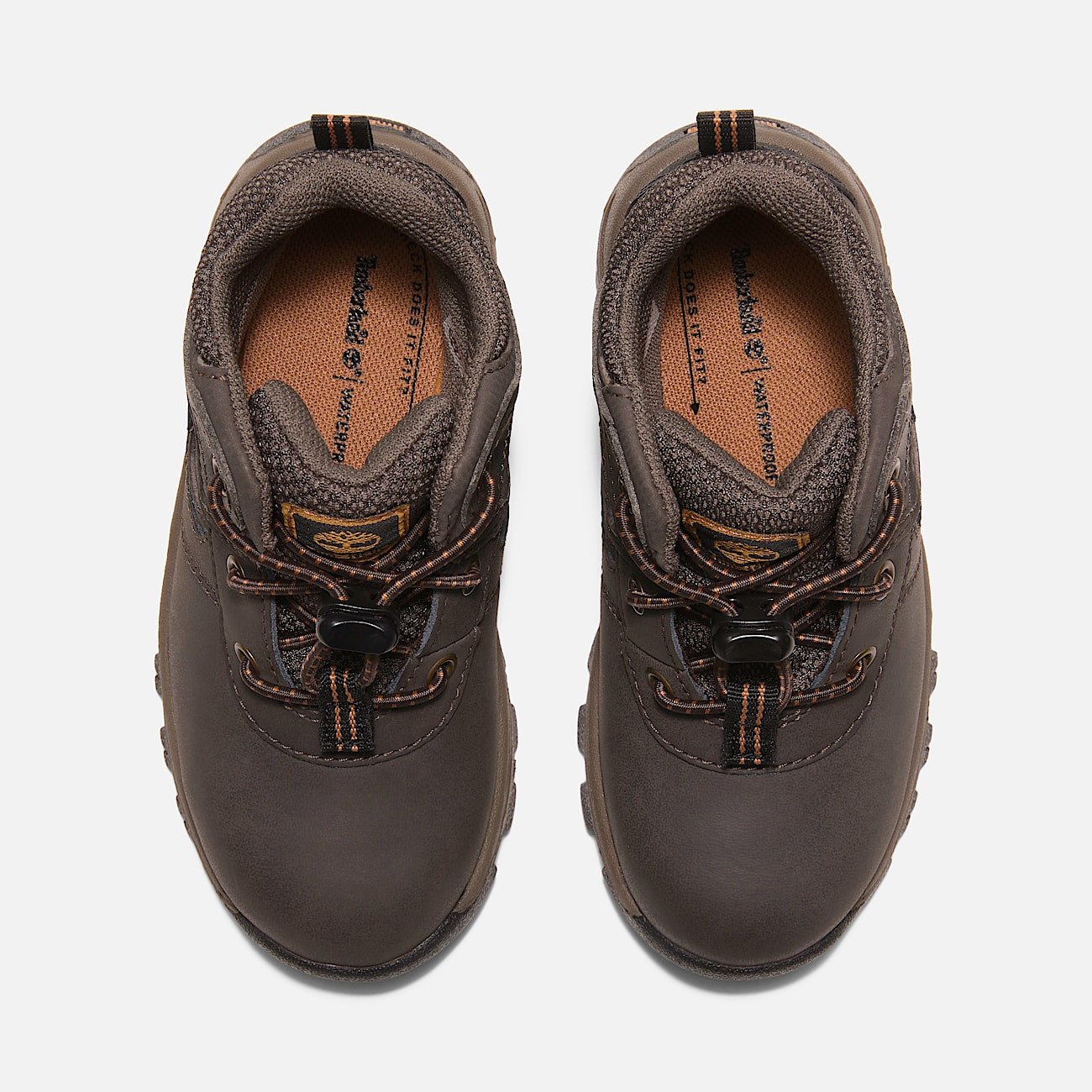 443F1C4C-5DA7-4FA5-D7C6-FC31BDFB8554