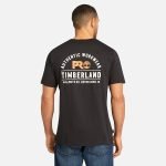 09B3517F-84C2-A1C4-B5C4-05B8D575174B