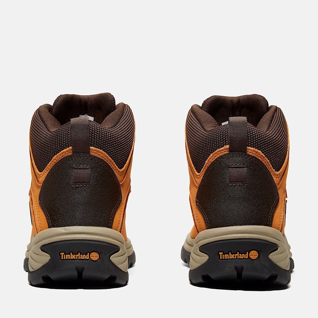 4CF4F579-80D9-C12A-7754-3BACE54D752B