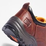 2910086C-DDB6-9E5A-1C82-5C5EF0B71508