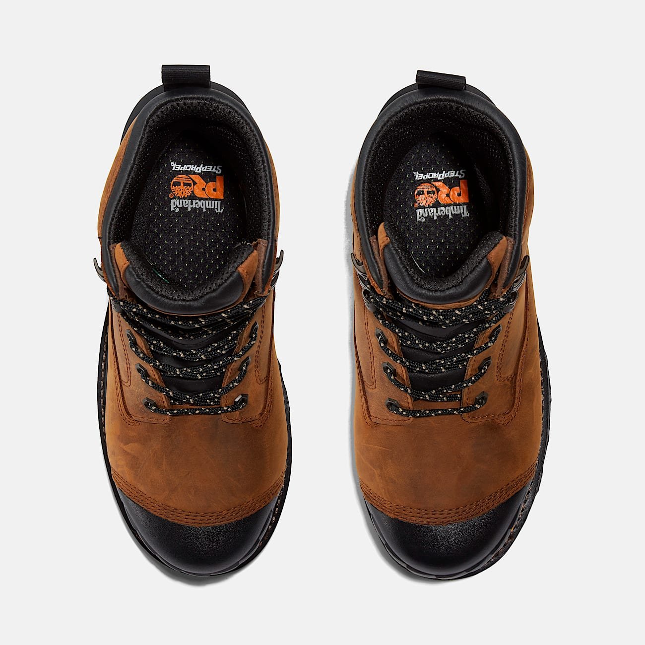 53E0AB9B-353F-6844-5F41-73C306264990_506f6797-290b-4e23-a013-7c5150fe367e