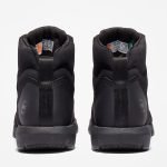 4E1AD387-55FE-F652-E4B0-864EB7D20DE4