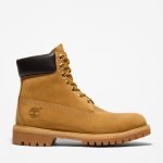 Men's Timberland® Premium 6-Inch Waterproof Boot