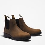 6F3A2B26-28FA-50A5-E698-A9348819B74A