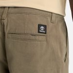 570DA414-27F8-17E0-D193-397DD5A3889E