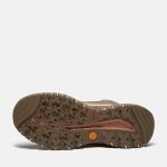 30137081-FBA4-B852-09DA-A9C0E6C6728D_330f21b8-50bd-4085-9e98-d2e6df7d2069