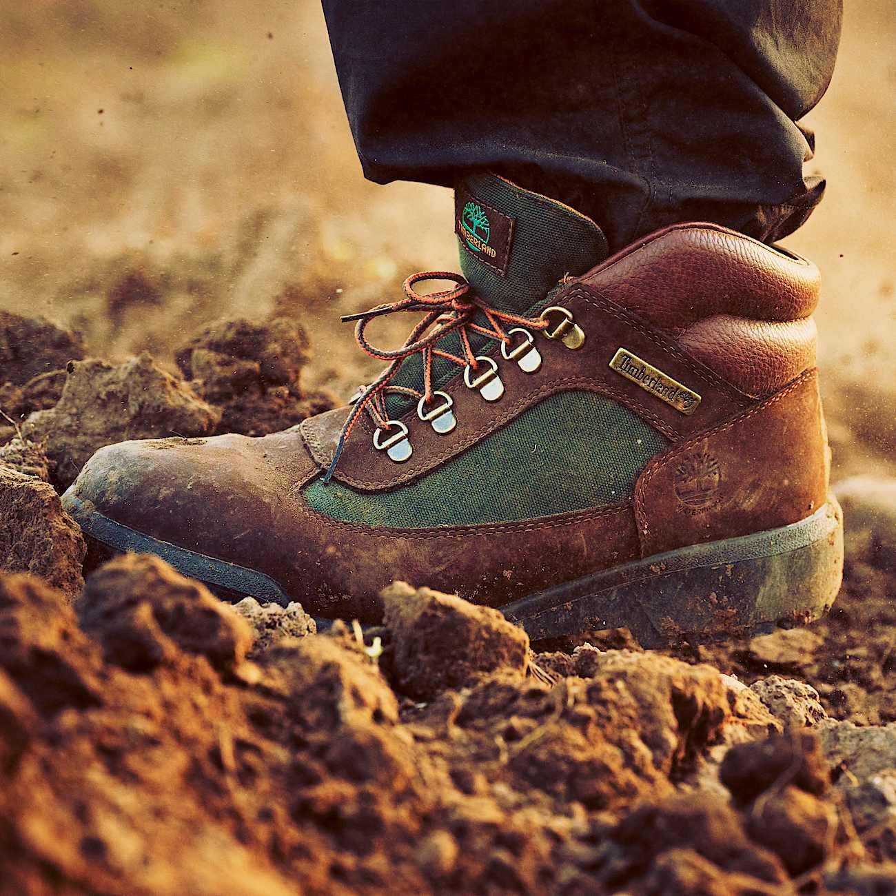 61A342DE-2440-7BBA-8FB0-2E497617BFF3_c380df2d-1ef8-4dbd-b898-a356324c340c