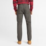 1B1712FF-0B48-D01C-A3D9-39FE0FC69D27