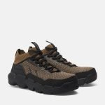 BF277E89-D9AA-F8AD-4844-2D5D5E8146DA