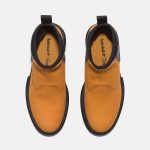 D00A64A8-CD2A-6257-CAFC-90A566A0B452_d477dd76-f51a-456c-b309-d29688f3e64c