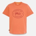 3403F1E2-B106-3DFD-4617-F60506718C8F_26e40bed-b02e-42aa-854e-d70d9ecbe598