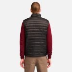 C28A85A1-A47B-0686-298F-E7269790147E