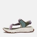 91772C9D-69B0-73CE-3E67-1031C8659D77