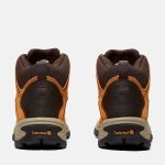 0D495AF5-8627-7535-CCB8-C85DC6900733