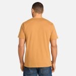 04AAE6C1-C9E5-BE19-4DEC-802BB38E852F