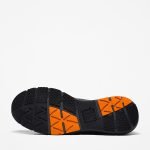 0544FB09-7513-9586-1652-90EBF463EFFF