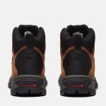 6FCA0620-E720-7FBA-CA1D-C13E02A67563_359b0507-bd09-4a8c-9d54-b699942102b0