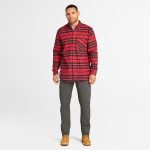 1B1712FF-0B48-D01C-A3D9-39FE0FC69D27_d71d77f0-c64c-4a76-95a7-f008104f60dd