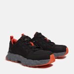 DCC84702-2B71-2CB6-F71E-ED49D2CC8F9C_62b343f4-95a9-4331-9ebc-7dd03f23408d