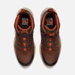 420B8AE8-A28F-2BE4-82E6-7C5BE05129DF