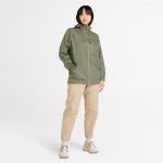 0181F5C7-D278-2C3C-F2B5-4EAA28D16703_0aaba1c5-5bdb-45fc-8549-b59c27012df4