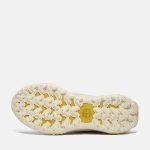 88743799-B77A-E45F-5E80-D813F290EC62_deb87ebb-46d9-48ab-9908-afb3722edcda