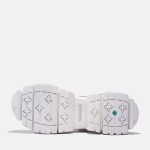 13EFB746-B10A-A3A1-D79E-F5239FB8B328